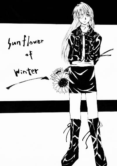 Sunflower of Winter